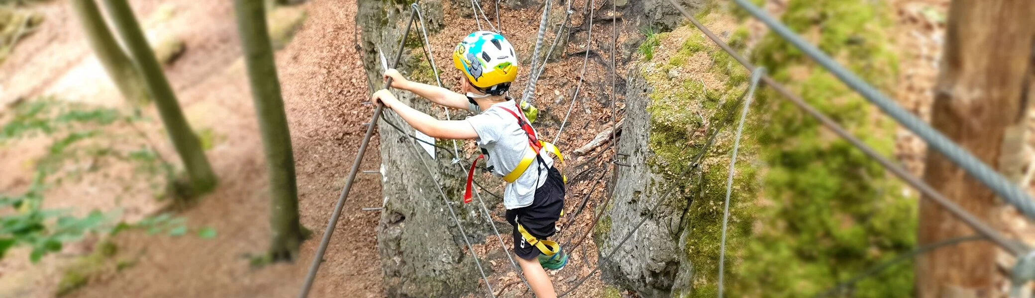 © Markus Winklmeier