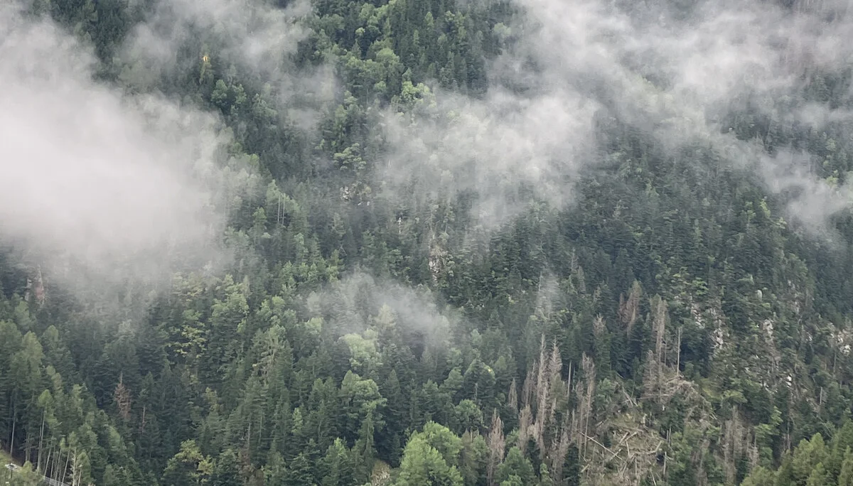 © DAV Straubing